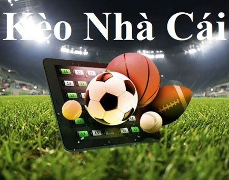 Minamino World Cup 2026 – Tiền Đạo Đa Năng Nhật Bản