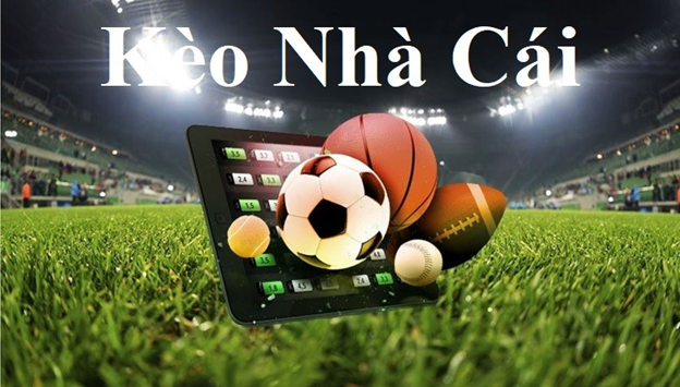 Minamino World Cup 2026 - Tiền Đạo Đa Năng Nhật Bản Minamino World Cup 2026 - Tiền Đạo Đa Năng Nhật Bản